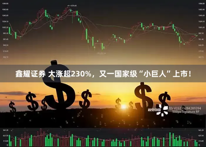 鑫耀证券 大涨超230%，又一国家级“小巨人”上市！