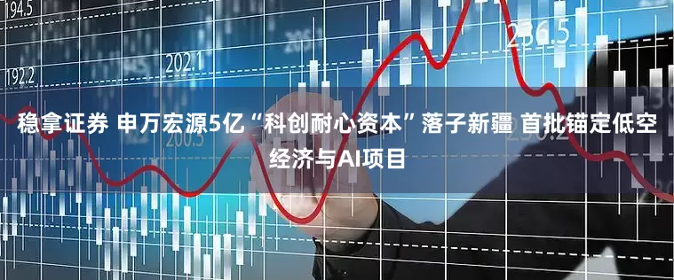 稳拿证券 申万宏源5亿“科创耐心资本”落子新疆 首批锚定低空经济与AI项目