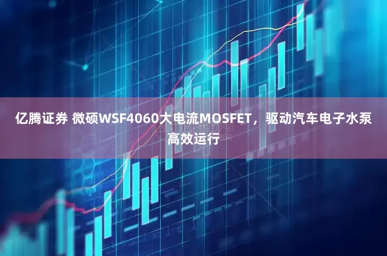 亿腾证券 微硕WSF4060大电流MOSFET，驱动汽车电子水泵高效运行