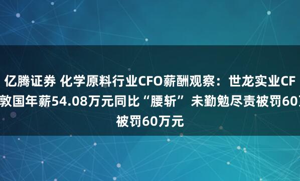 亿腾证券 化学原料行业CFO薪酬观察：世龙实业CFO胡敦国年薪54.08万元同比“腰斩” 未勤勉尽责被罚60万元